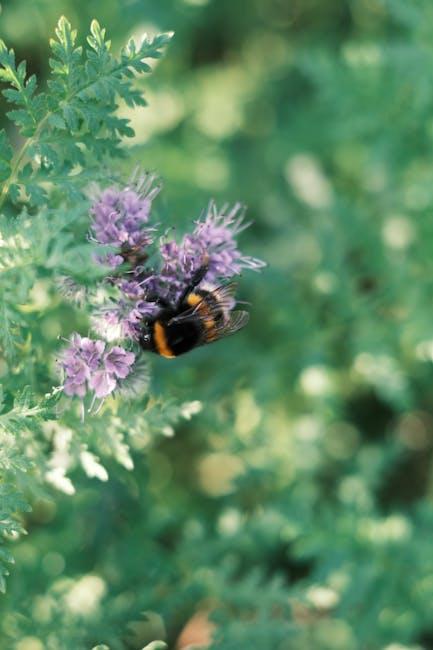 Top Fintech APIs Developers Should Know