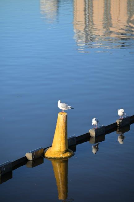 Why You Should Start Investing Early